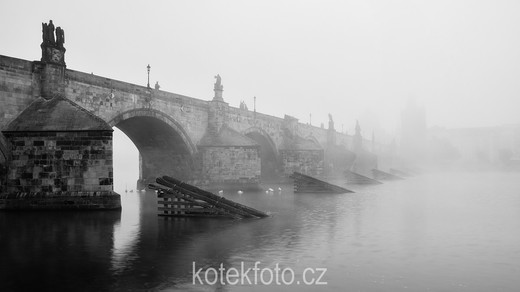 DSC_0029-1-2.jpg
