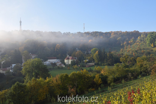 DSC_0062-1.jpg