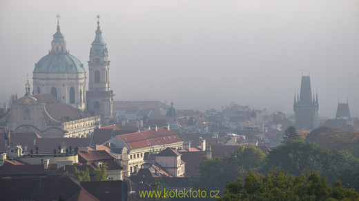 DSC_0100-1.jpg