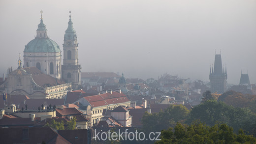 DSC_0100-1.jpg