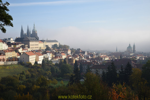 DSC_0107-1.jpg