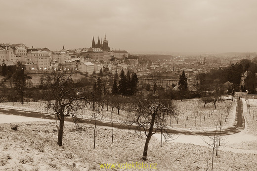 DSC_0111-1.jpg