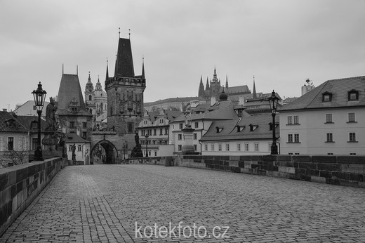 DSC_0134-1.jpg