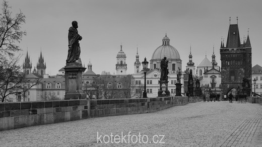 DSC_0157-1.jpg
