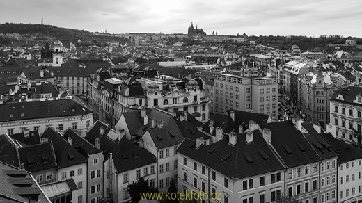 DSC_0192-1-3.jpg