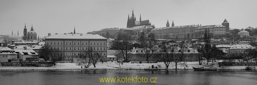 DSC_0199-1-2.jpg