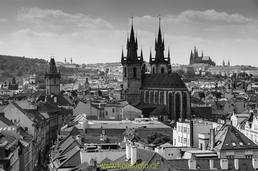 DSC_0344-1-2.jpg
