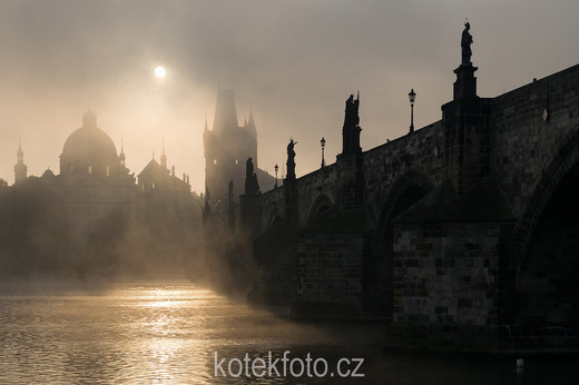 DSC_0429-1-3.jpg