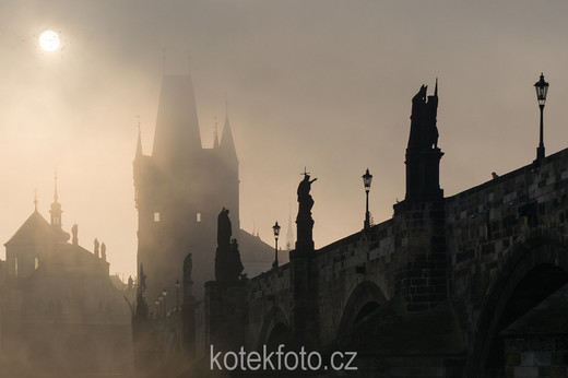 DSC_0429-1-4.jpg