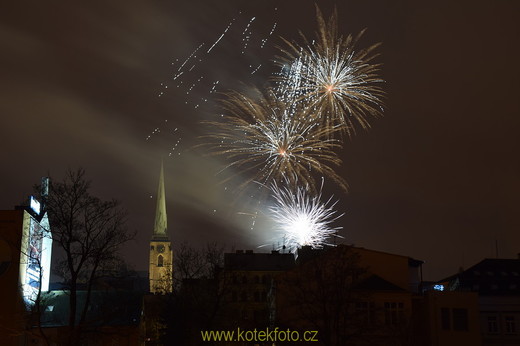 DSC_0458.JPG