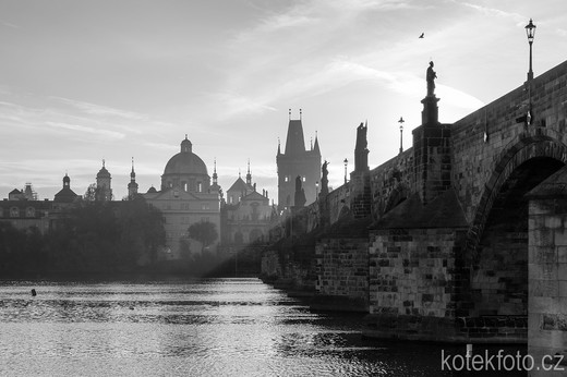 DSC_0830-3.jpg