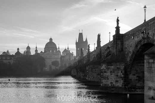 DSC_0830-3-retus2-mpx.jpg