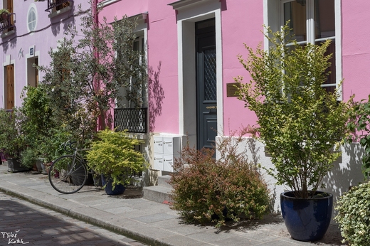 DSC_1968.jpg