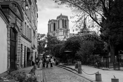 DSC_2294.jpg