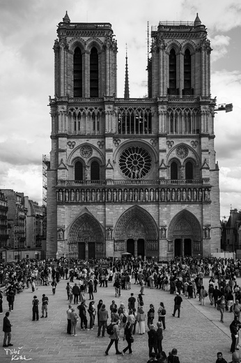 DSC_2301.jpg