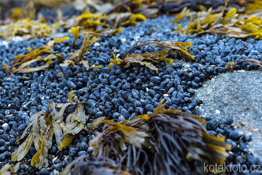 DSC_9476a.jpg