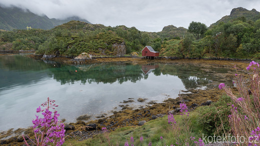 DSC_9605.jpg