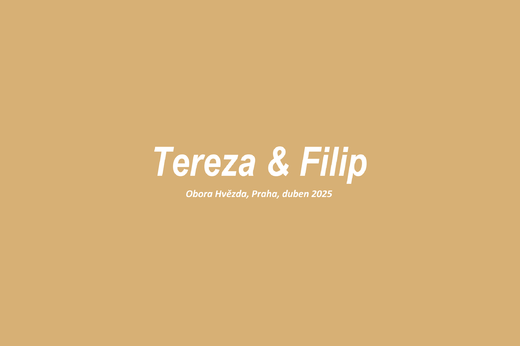 svatba-web-titulek-zlaty-tereza-filip.png